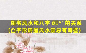阳宅风水和八字 🪴 的关系(凸字形房屋风水禁忌有哪些)
